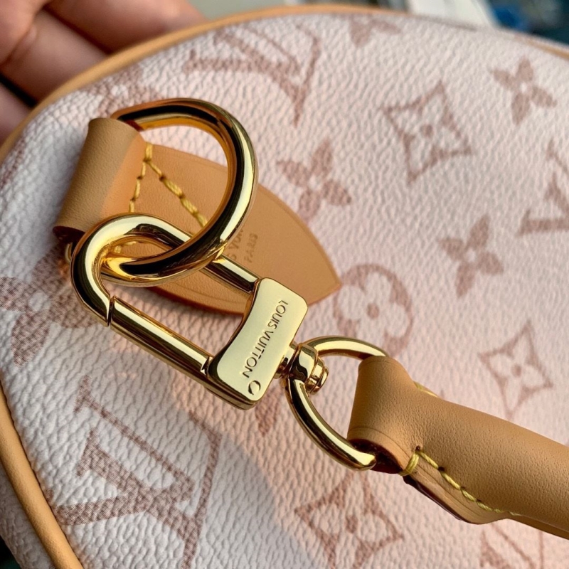 LV Speedy Bags